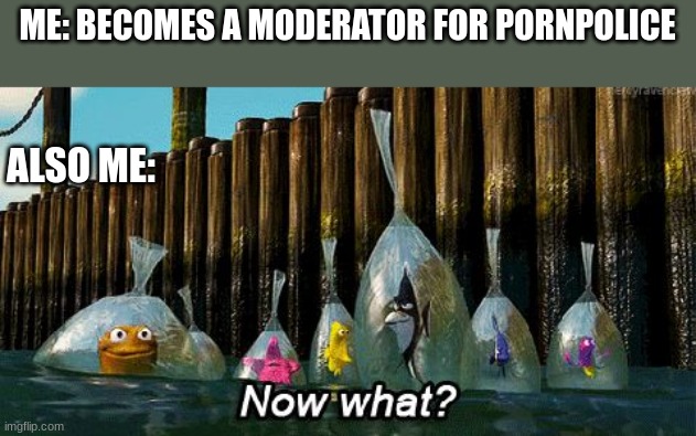 im thankful but now what? | ME: BECOMES A MODERATOR FOR PORNPOLICE; ALSO ME: | image tagged in now what | made w/ Imgflip meme maker