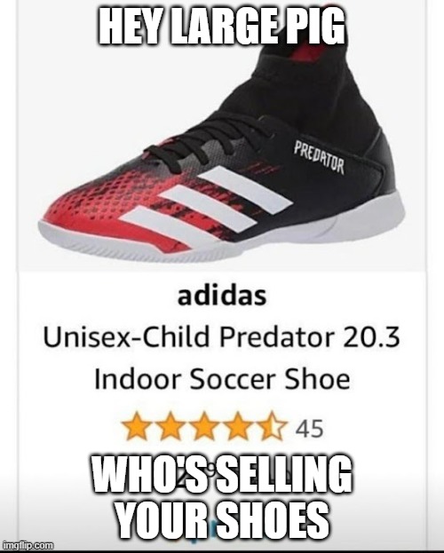 unisex-child predator | HEY LARGE PIG; WHO'S SELLING YOUR SHOES | image tagged in unisex-child predator | made w/ Imgflip meme maker