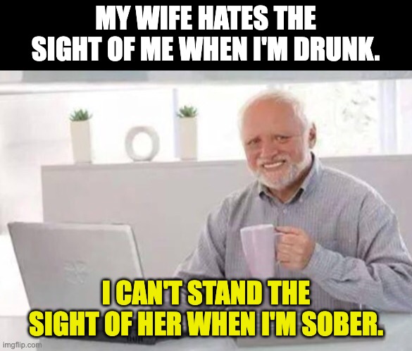 Sight | MY WIFE HATES THE SIGHT OF ME WHEN I'M DRUNK. I CAN'T STAND THE SIGHT OF HER WHEN I'M SOBER. | image tagged in harold | made w/ Imgflip meme maker