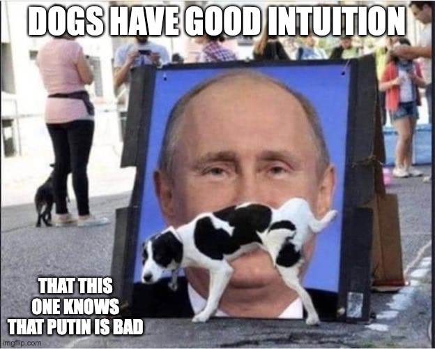 Dog Peeing on Putin Portrait | DOGS HAVE GOOD INTUITION; THAT THIS ONE KNOWS THAT PUTIN IS BAD | image tagged in dogs,putin,memes | made w/ Imgflip meme maker