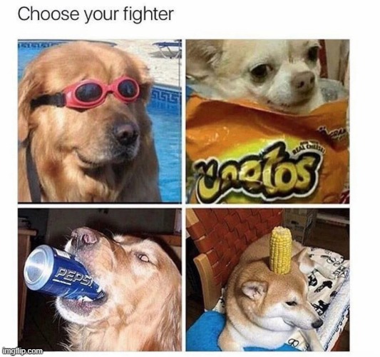 Choose your fighter | image tagged in dank meme,funny | made w/ Imgflip meme maker