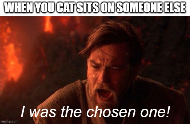 Obi Wan Cat |  WHEN YOU CAT SITS ON SOMEONE ELSE; I was the chosen one! | image tagged in memes,you were the chosen one star wars,cat,cats,star wars,obi wan kenobi | made w/ Imgflip meme maker