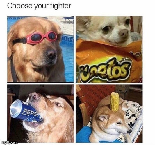 Choose your fighter | image tagged in dank dogs,funny,memes | made w/ Imgflip meme maker