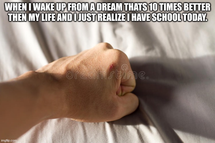 dream | WHEN I WAKE UP FROM A DREAM THATS 10 TIMES BETTER THEN MY LIFE AND I JUST REALIZE I HAVE SCHOOL TODAY. | image tagged in dream | made w/ Imgflip meme maker