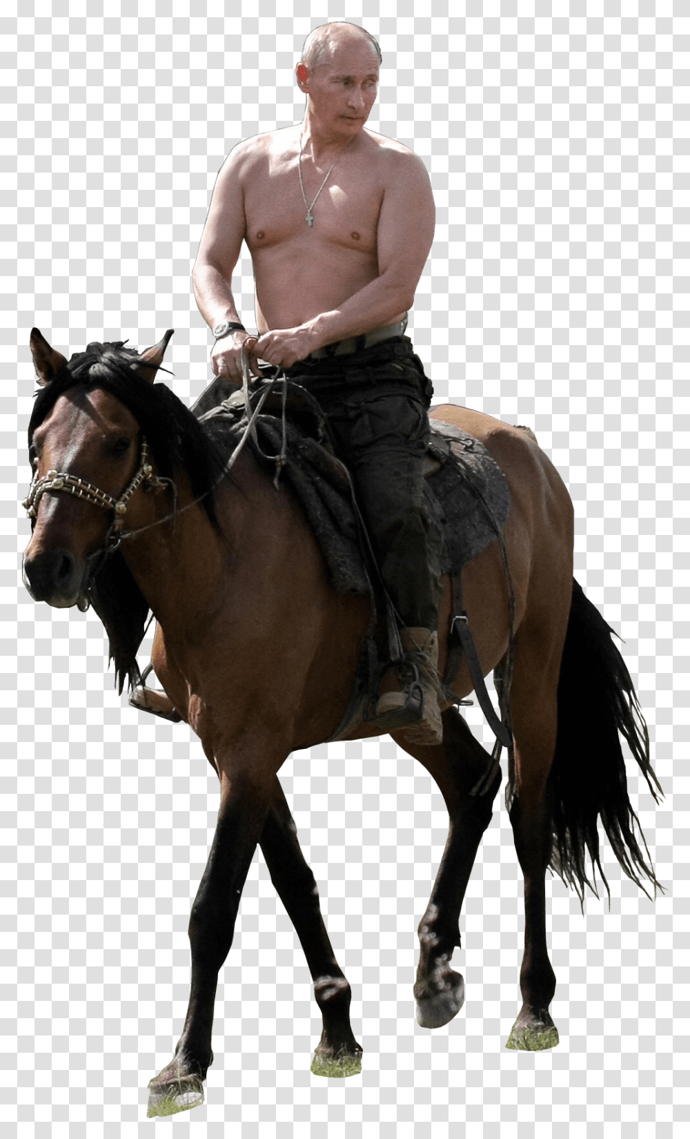 Putin on horse Transparency Blank Meme Template