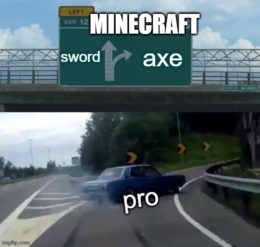 Minecraft pro | MINECRAFT | image tagged in funny memes | made w/ Imgflip meme maker