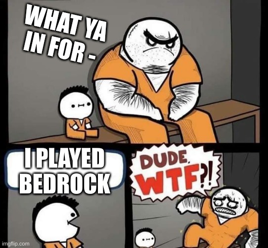 Dude wtf | WHAT YA IN FOR -; I PLAYED BEDROCK | image tagged in dude wtf | made w/ Imgflip meme maker