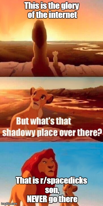 Simba Shadowy Place | This is the glory of the internet That is r/spacedicks son, NEVER go there | image tagged in memes,simba shadowy place | made w/ Imgflip meme maker