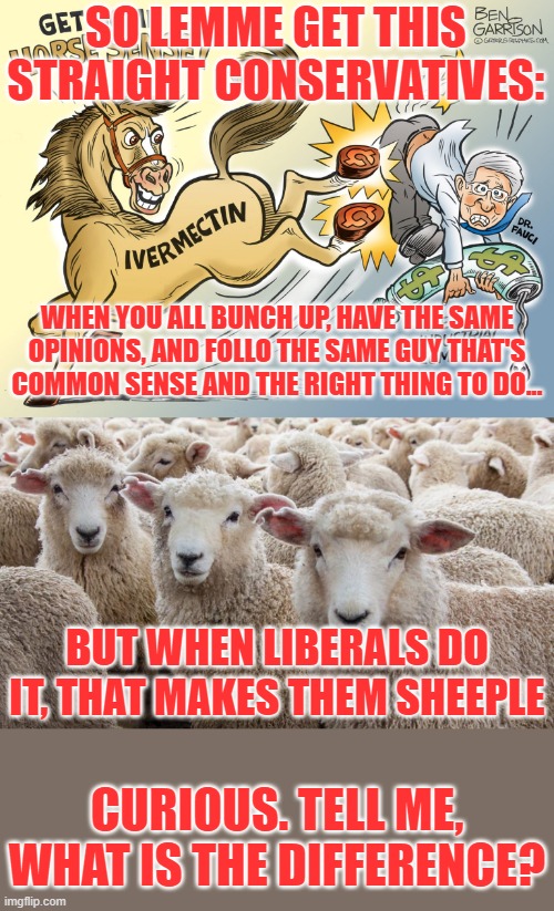 SO LEMME GET THIS STRAIGHT CONSERVATIVES:; WHEN YOU ALL BUNCH UP, HAVE THE SAME OPINIONS, AND FOLLO THE SAME GUY THAT'S COMMON SENSE AND THE RIGHT THING TO DO... BUT WHEN LIBERALS DO IT, THAT MAKES THEM SHEEPLE; CURIOUS. TELL ME, WHAT IS THE DIFFERENCE? | image tagged in politics,low effort | made w/ Imgflip meme maker