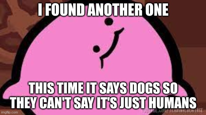 ?? | I FOUND ANOTHER ONE; THIS TIME IT SAYS DOGS SO THEY CAN'T SAY IT'S JUST HUMANS | image tagged in kirbo,caught in 4k,anti furry,yee boi,ligma,poio | made w/ Imgflip meme maker