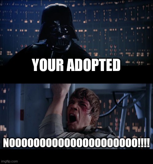Adoption time | YOUR ADOPTED; NOOOOOOOOOOOOOOOOOOOOO!!!! | image tagged in memes,star wars no,adopted | made w/ Imgflip meme maker
