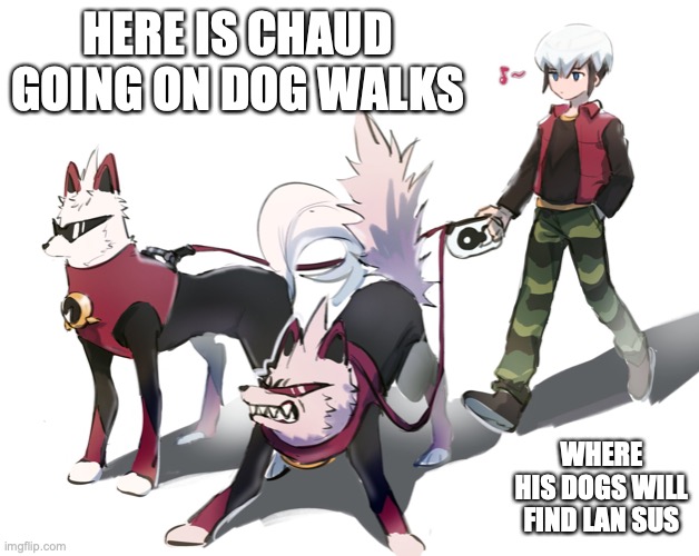 Chaud on Dog Walks | HERE IS CHAUD GOING ON DOG WALKS; WHERE HIS DOGS WILL FIND LAN SUS | image tagged in eugene chaud,memes,megaman,megaman battle network,dogs | made w/ Imgflip meme maker