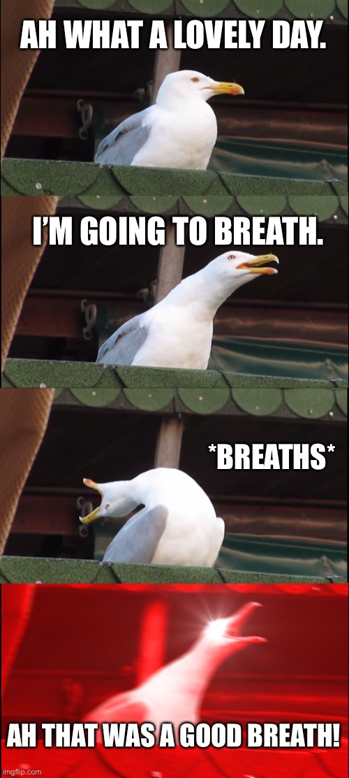 breath. | AH WHAT A LOVELY DAY. I’M GOING TO BREATH. *BREATHS*; AH THAT WAS A GOOD BREATH! | image tagged in memes,inhaling seagull | made w/ Imgflip meme maker