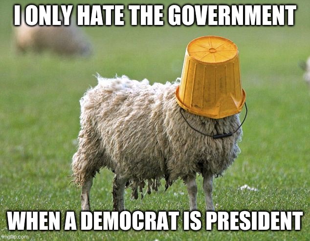 stupid sheep | I ONLY HATE THE GOVERNMENT WHEN A DEMOCRAT IS PRESIDENT | image tagged in stupid sheep | made w/ Imgflip meme maker