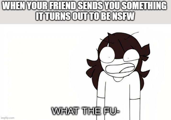 Jaiden Animations What the Fu- | WHEN YOUR FRIEND SENDS YOU SOMETHING 
IT TURNS OUT TO BE NSFW | image tagged in jaiden animations what the fu- | made w/ Imgflip meme maker