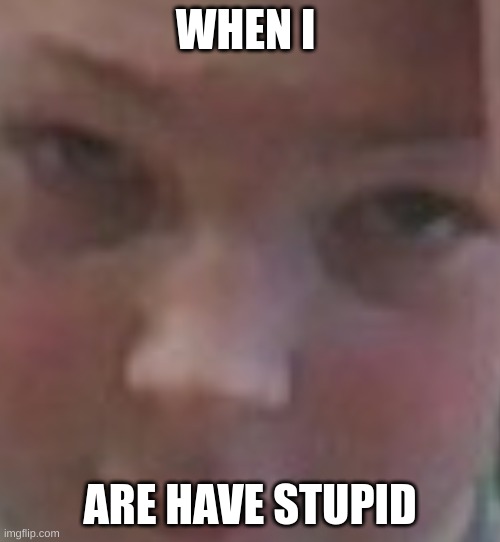 WHEN I; ARE HAVE STUPID | image tagged in when i are have stupid | made w/ Imgflip meme maker