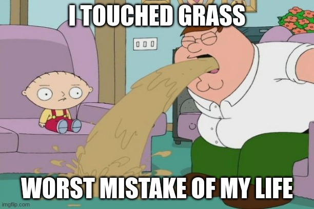 DONT DO THAT! |  I TOUCHED GRASS; WORST MISTAKE OF MY LIFE | image tagged in peter griffin vomit | made w/ Imgflip meme maker