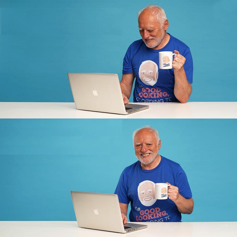 High Quality NEW HD Hide the pain Harold Blank Meme Template