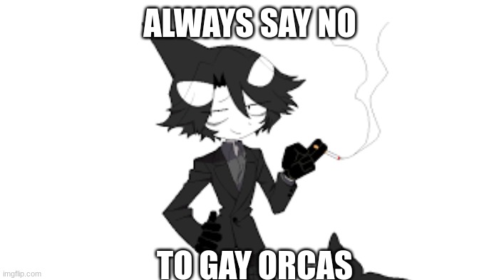 say NO to IDATE!! | ALWAYS SAY NO; TO GAY ORCAS | image tagged in orca,say no,say no to,gay,okegom,fruity | made w/ Imgflip meme maker
