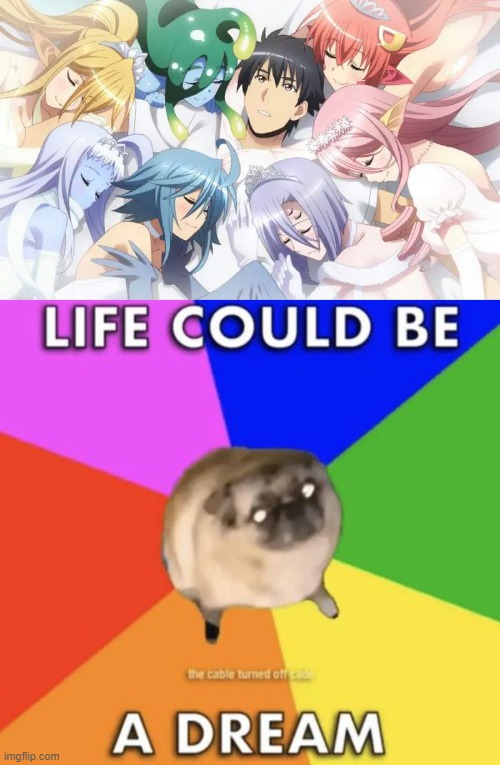 monster musume: everyday life with monster girls anime | image tagged in anime girl,memes,harem,how i met your mother | made w/ Imgflip meme maker