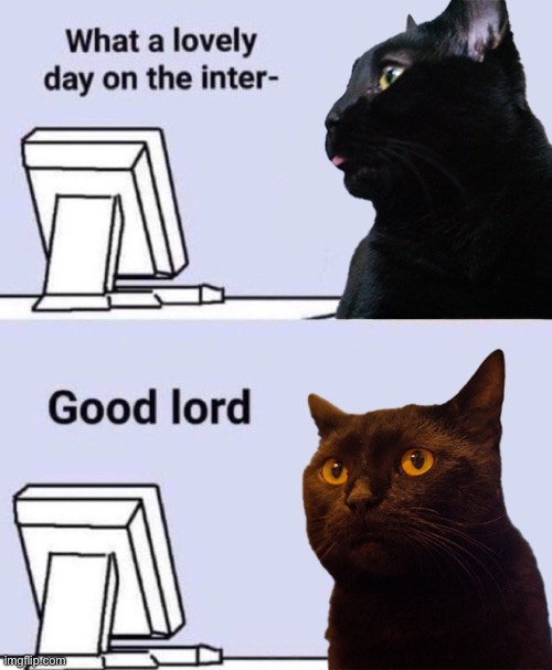 Cat Goes Online Until | image tagged in what a lovely day on the inter- | made w/ Imgflip meme maker