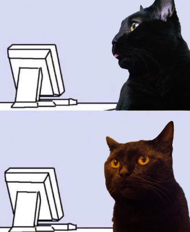 High Quality Template Of Cat Going Online Blank Meme Template