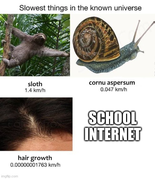 Slowest things |  SCHOOL INTERNET | image tagged in slowest things,internet | made w/ Imgflip meme maker