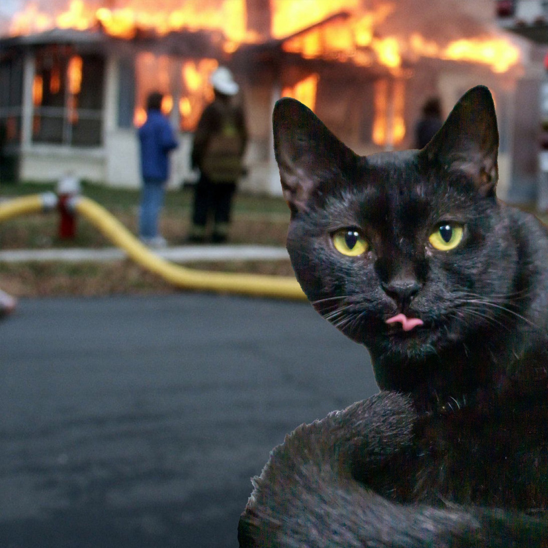 High Quality Burning House Cat Blank Meme Template