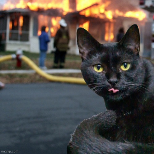 Burning House Cat | image tagged in burning house cat,sarlah,sarlahthecat,sarlahkitty,vanillabizcotti | made w/ Imgflip meme maker