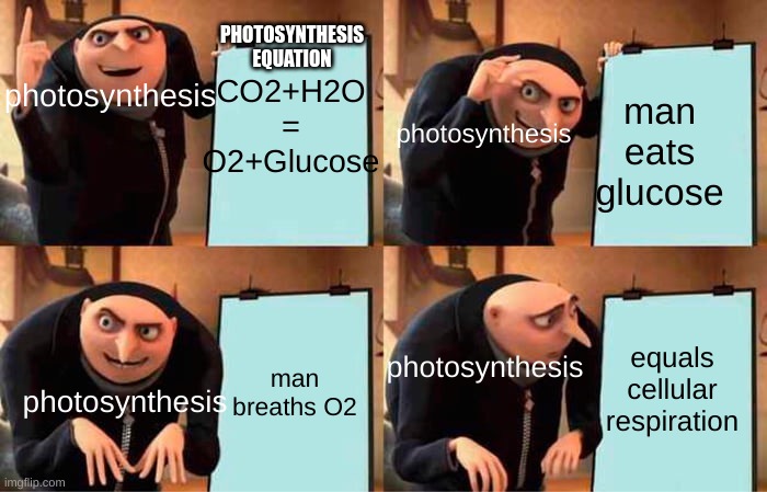 Gru's Plan Meme | photosynthesis; CO2+H2O = O2+Glucose; PHOTOSYNTHESIS
EQUATION; photosynthesis; man eats glucose; equals cellular respiration; man breaths O2; photosynthesis; photosynthesis | image tagged in memes,gru's plan | made w/ Imgflip meme maker