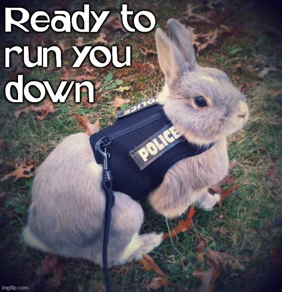Ready to 
run you 
down | image tagged in bunnies | made w/ Imgflip meme maker