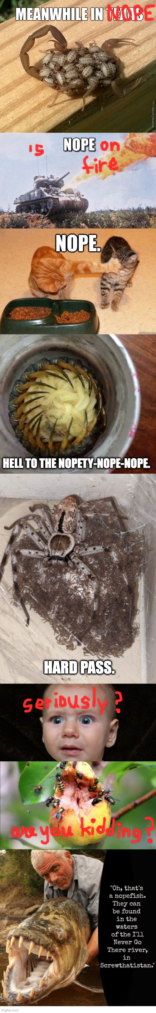 A Ship-Ton of Nope When One Nope isn't Enough | HELL TO THE NOPETY-NOPE-NOPE. HARD PASS. | image tagged in nope texas,nope | made w/ Imgflip meme maker