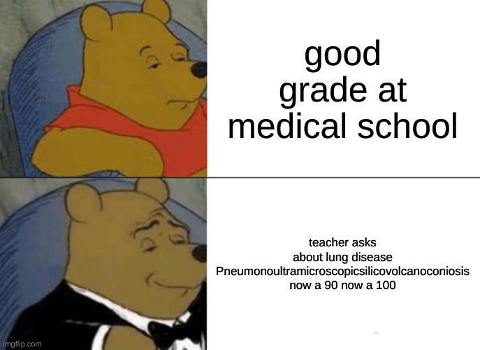 boi | good grade at medical school; teacher asks about lung disease Pneumonoultramicroscopicsilicovolcanoconiosis now a 90 now a 100 | image tagged in memes,tuxedo winnie the pooh | made w/ Imgflip meme maker