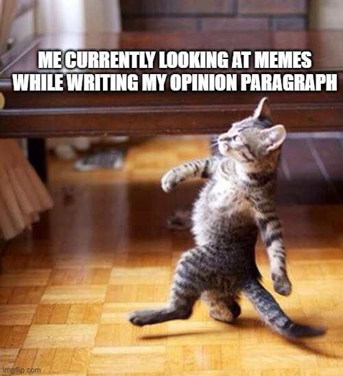 Me rn | ME CURRENTLY LOOKING AT MEMES WHILE WRITING MY OPINION PARAGRAPH | image tagged in swag cat | made w/ Imgflip meme maker