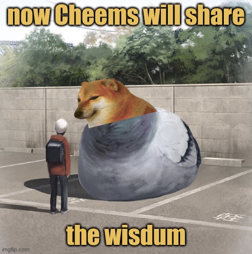 much wiz, very dum | now Cheems will share; the wisdum | image tagged in beeg birb,cheems,wisdom | made w/ Imgflip meme maker