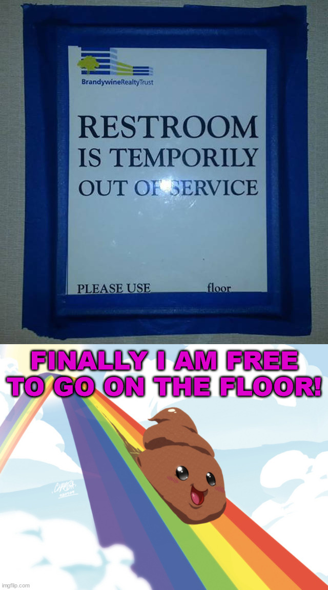 New game like the floor is lava, but poo. | FINALLY I AM FREE TO GO ON THE FLOOR! | image tagged in poop on rainbow,the floor is,closed,funny signs | made w/ Imgflip meme maker