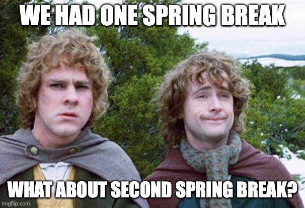 Second Spring Break? | WE HAD ONE SPRING BREAK; WHAT ABOUT SECOND SPRING BREAK? | image tagged in second breakfast | made w/ Imgflip meme maker