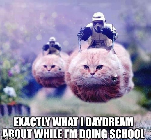 Storm Trooper Cats | EXACTLY WHAT I DAYDREAM ABOUT WHILE I’M DOING SCHOOL | image tagged in storm trooper cats | made w/ Imgflip meme maker