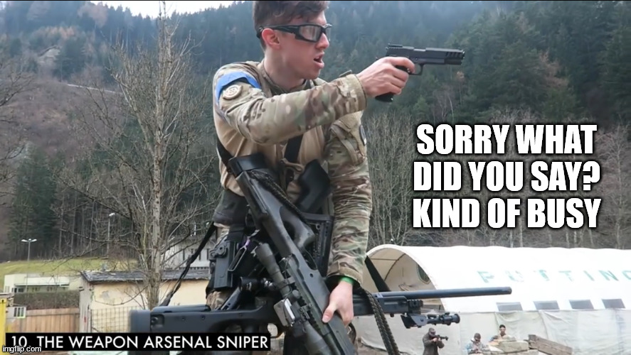novritsch Weapon arsenal | SORRY WHAT DID YOU SAY?
KIND OF BUSY | image tagged in novritsch weapon arsenal | made w/ Imgflip meme maker