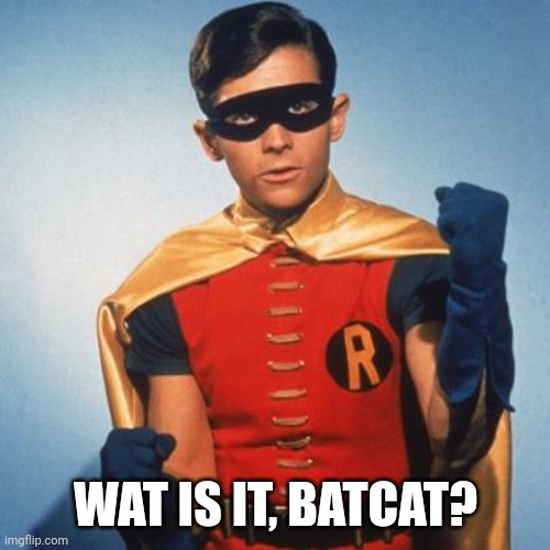 Robin | WAT IS IT, BATCAT? | image tagged in robin | made w/ Imgflip meme maker