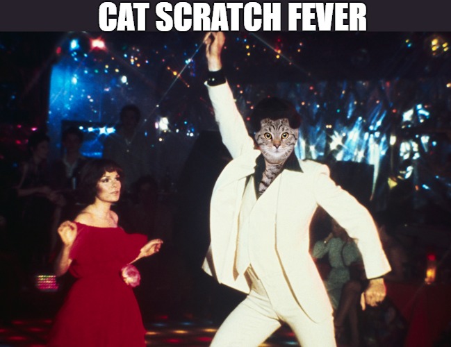 disco life | CAT SCRATCH FEVER | image tagged in saturday night fever | made w/ Imgflip meme maker