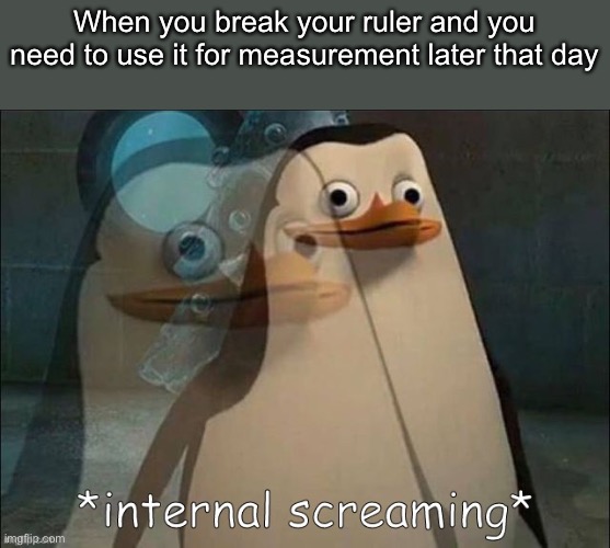 Internal screaming | When you break your ruler and you need to use it for measurement later that day | image tagged in private internal screaming,ruler,relatable,school | made w/ Imgflip meme maker