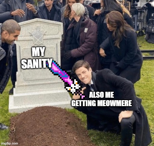 Grant Gustin over grave | MY SANITY; ALSO ME GETTING MEOWMERE | image tagged in grant gustin over grave,terraria | made w/ Imgflip meme maker