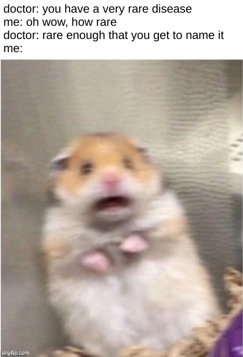 Scared Hamster | doctor: you have a very rare disease
me: oh wow, how rare
doctor: rare enough that you get to name it
me: | image tagged in scared hamster | made w/ Imgflip meme maker