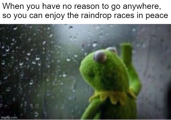 Those were the days | When you have no reason to go anywhere, so you can enjoy the raindrop races in peace | image tagged in kermit rain | made w/ Imgflip meme maker