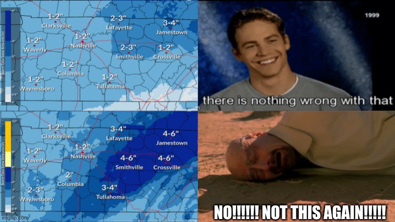 Nashville Snowstorm Part 2 | NO!!!!!! NOT THIS AGAIN!!!!! | image tagged in snow,tennessee,memes,funny,nashville,walter white | made w/ Imgflip meme maker
