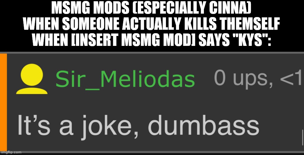 I love y'alls sense of humour | MSMG MODS (ESPECIALLY CINNA) WHEN SOMEONE ACTUALLY KILLS THEMSELF WHEN [INSERT MSMG MOD] SAYS "KYS": | image tagged in it s a joke dumbass | made w/ Imgflip meme maker