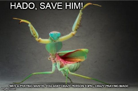 HADO, SAVE HIM! WHY A PRAYING MANTIS, YOU ASK? CRAZY PERSON TOPIC, CRAZY PRAYING IMAGE | image tagged in praying mantis | made w/ Imgflip meme maker