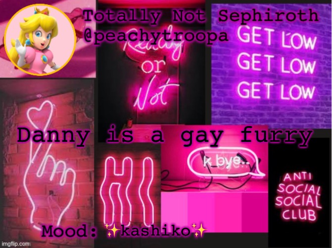 Princess Peach Aesthetic Mood Temp (thx Lily) | Danny is a gay furry; ✨kashiko✨ | image tagged in princess peach aesthetic mood temp thx lily | made w/ Imgflip meme maker
