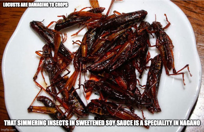 Inago no Tsukudani | LOCUSTS ARE DAMAGING TO CROPS; THAT SIMMERING INSECTS IN SWEETENED SOY SAUCE IS A SPECIALITY IN NAGANO | image tagged in food,insects,memes | made w/ Imgflip meme maker